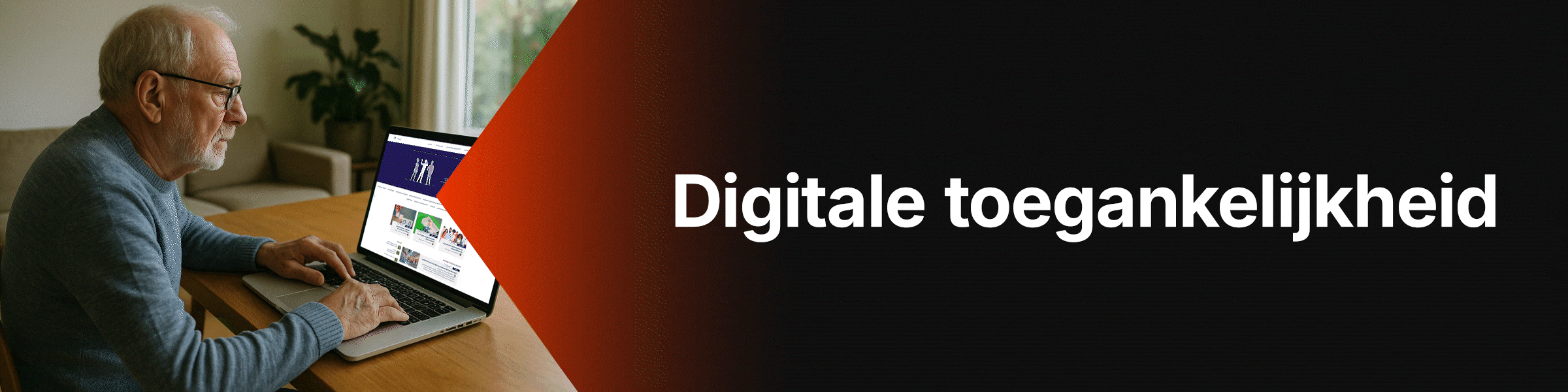 Nexagon-visual-banner-Digitale-toegankelijkheid_1